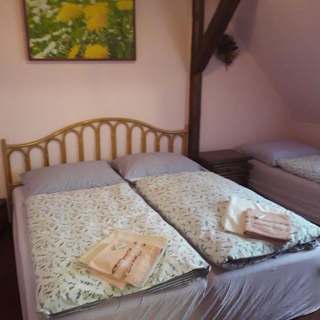 Capkuv Statek Otel Hořičky Dış mekan fotoğraf